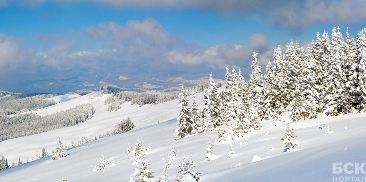 Сибирское здоровье: топ-5 лайфхаков как согреться в мороз