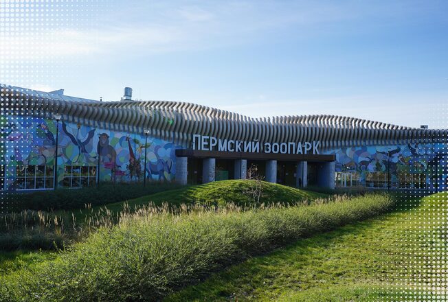 Пермский зоопарк и самый веселый белый мишка