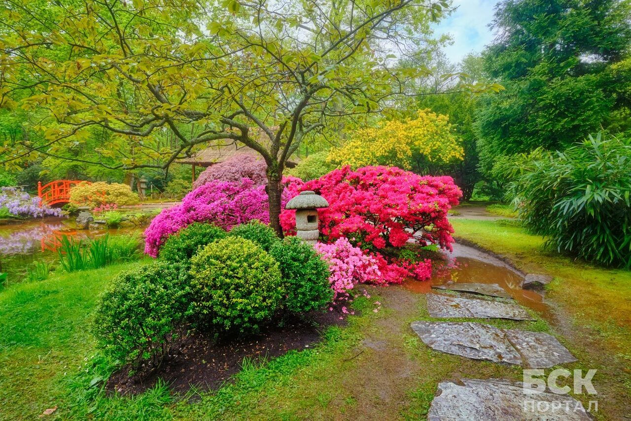 Создаем идеальный цветник на дачном участке