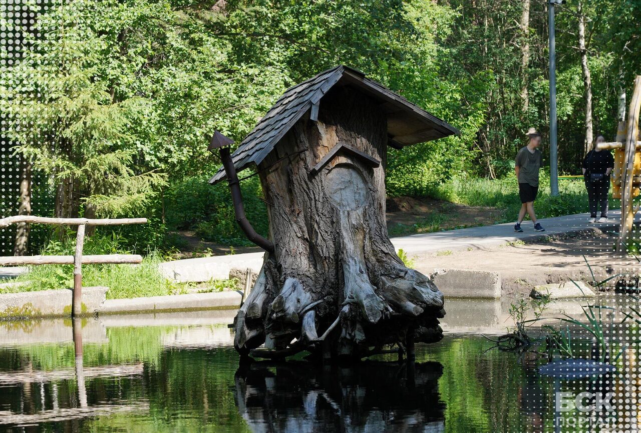 Черняевский лес Перми. Почему пермяки его так любят?