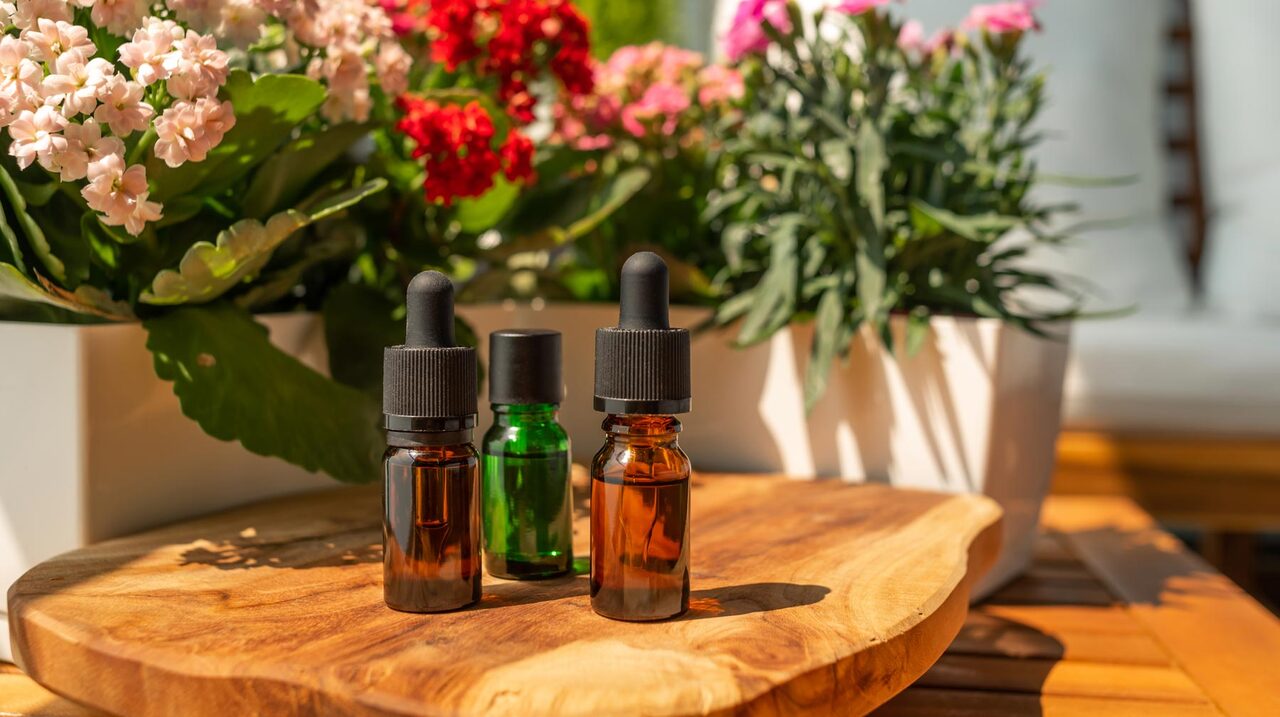 Как ароматы влияют на мозг – 10 фактов