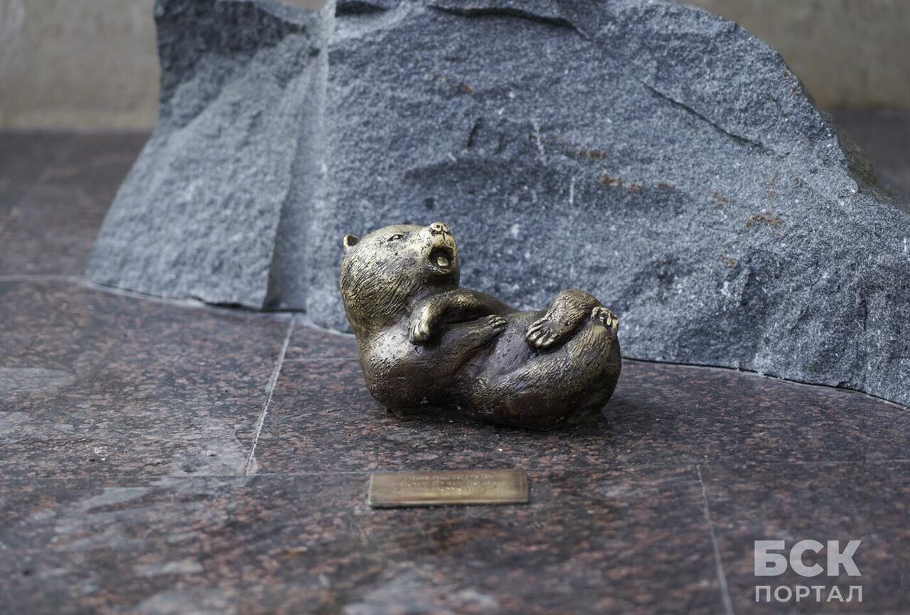 Новорожденный медвежонок с носиком на удачу