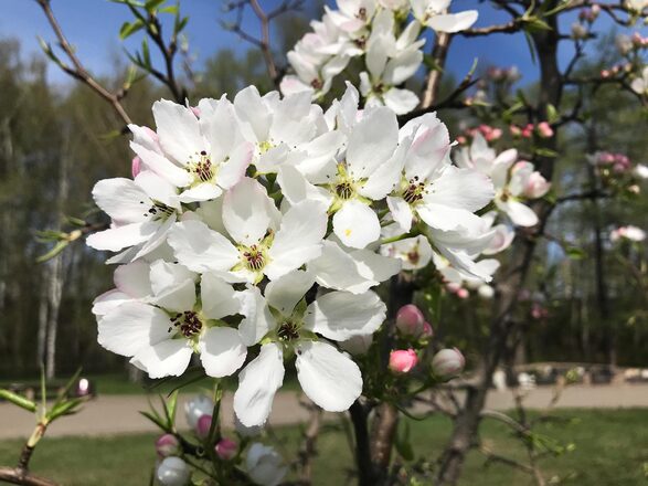 Майские праздники 2026 в Пермском крае: куда поехать и что посмотреть