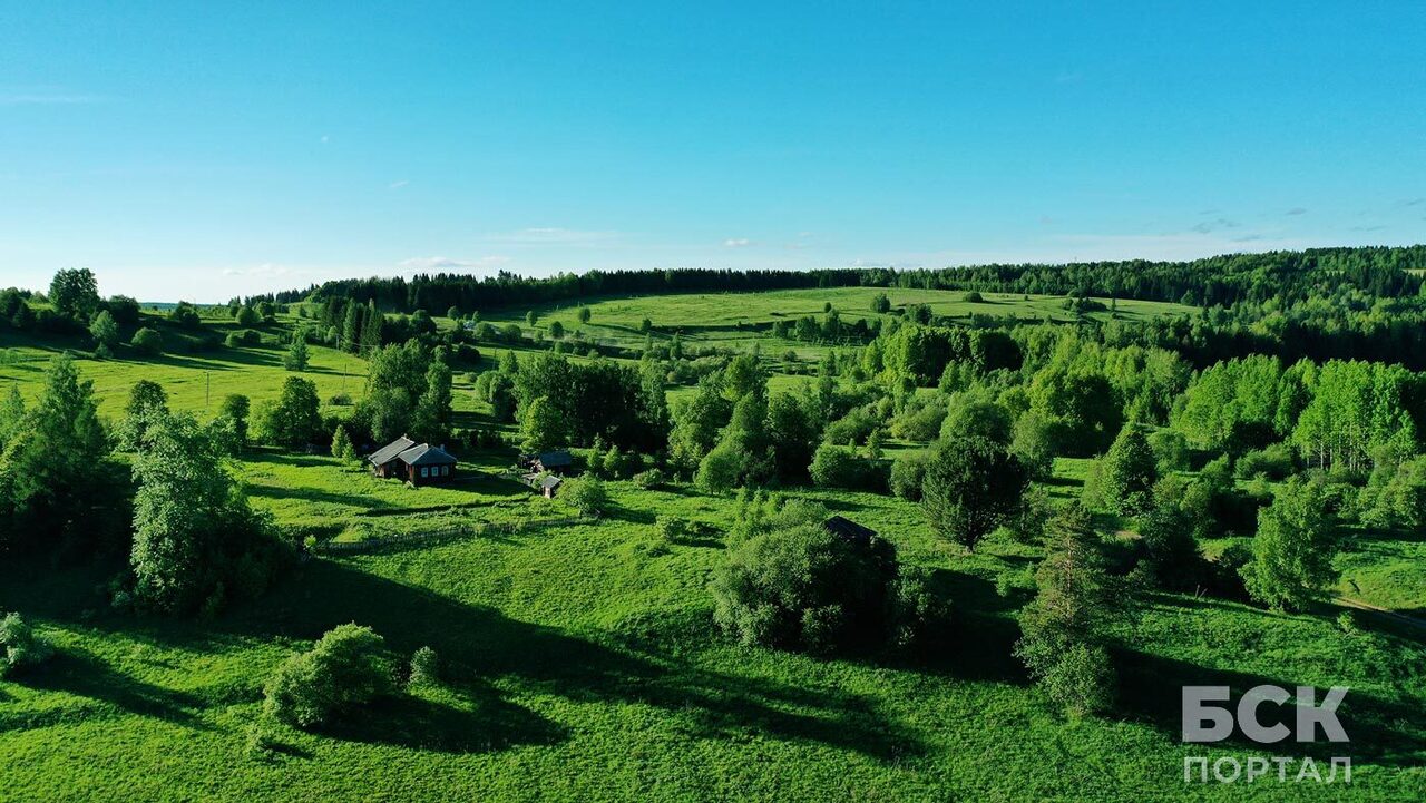 15 секунд релакса