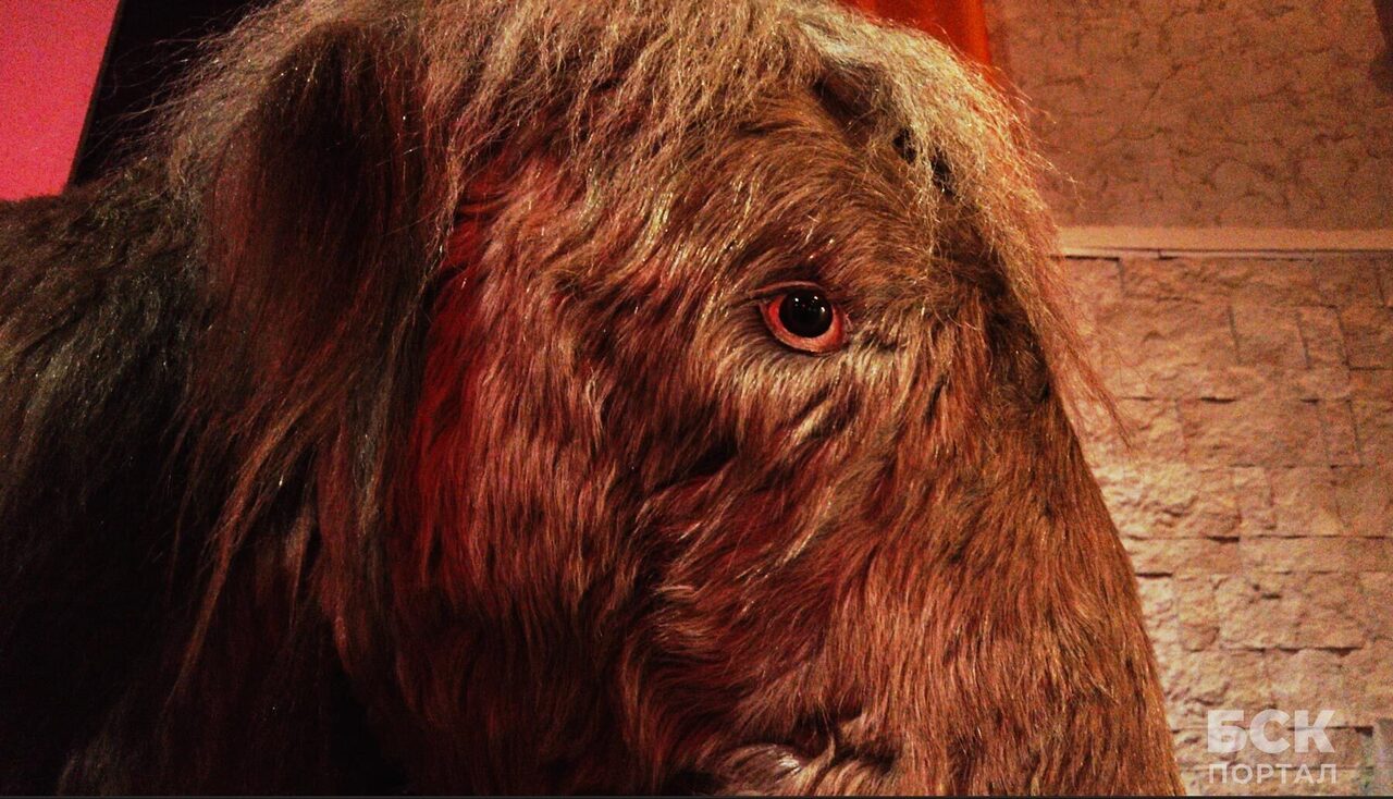 Мамонтенок Дима: миф или правда?