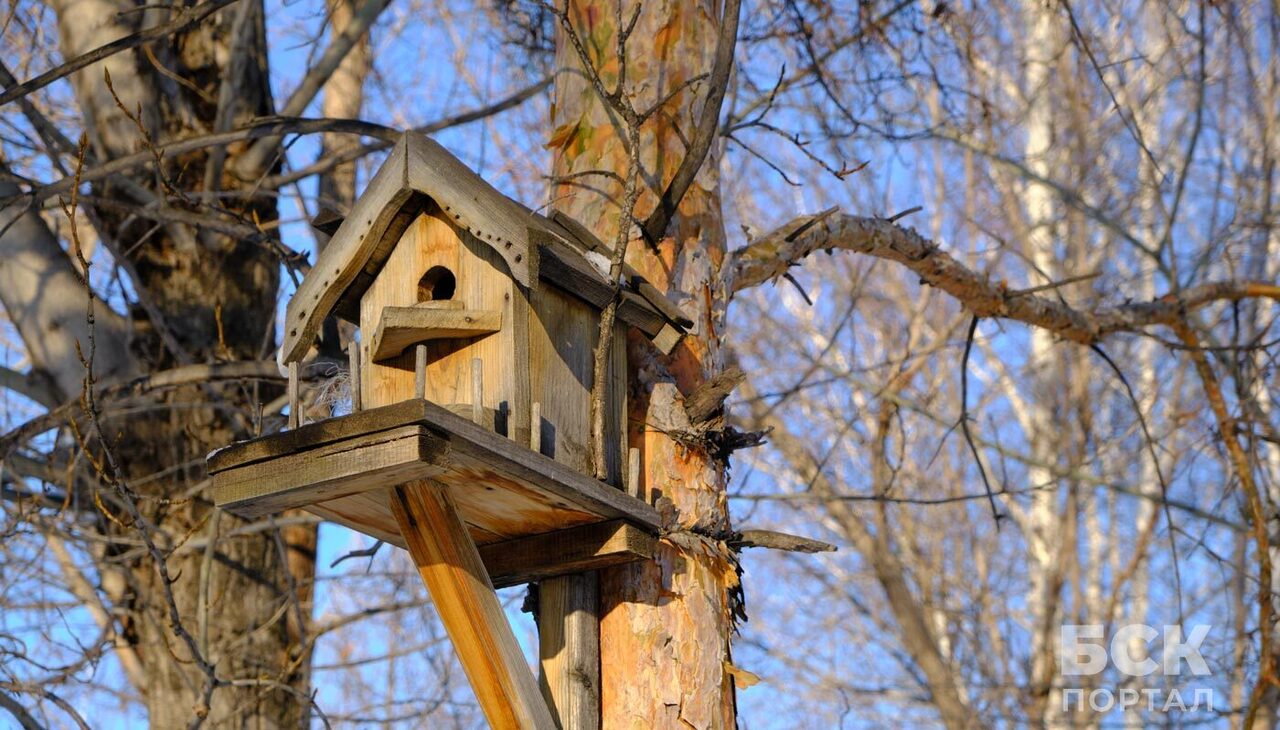 Теремок для птиц. Скворечник