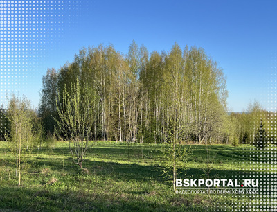 Май. Природа Пермского края