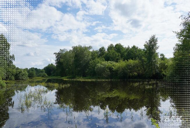 Экологическая тропа Перми. Что случилось, и почему мы убежали?