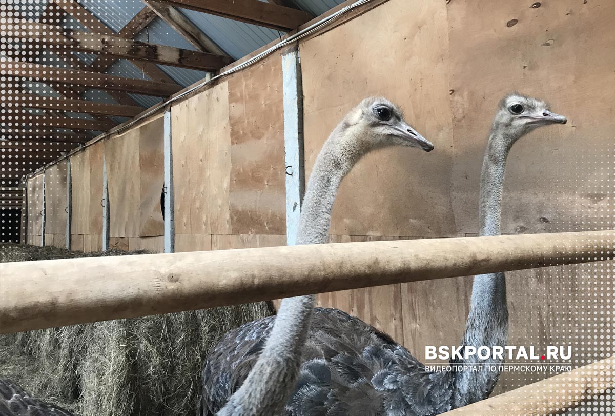 Куда поехать на майские в Пермском крае с детьми