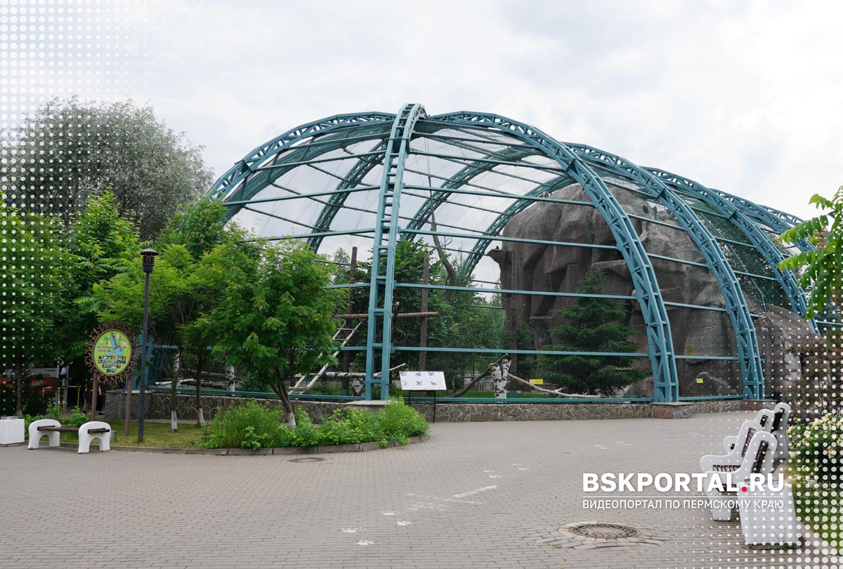 Ижевский зоопарк для детей территория вольеры