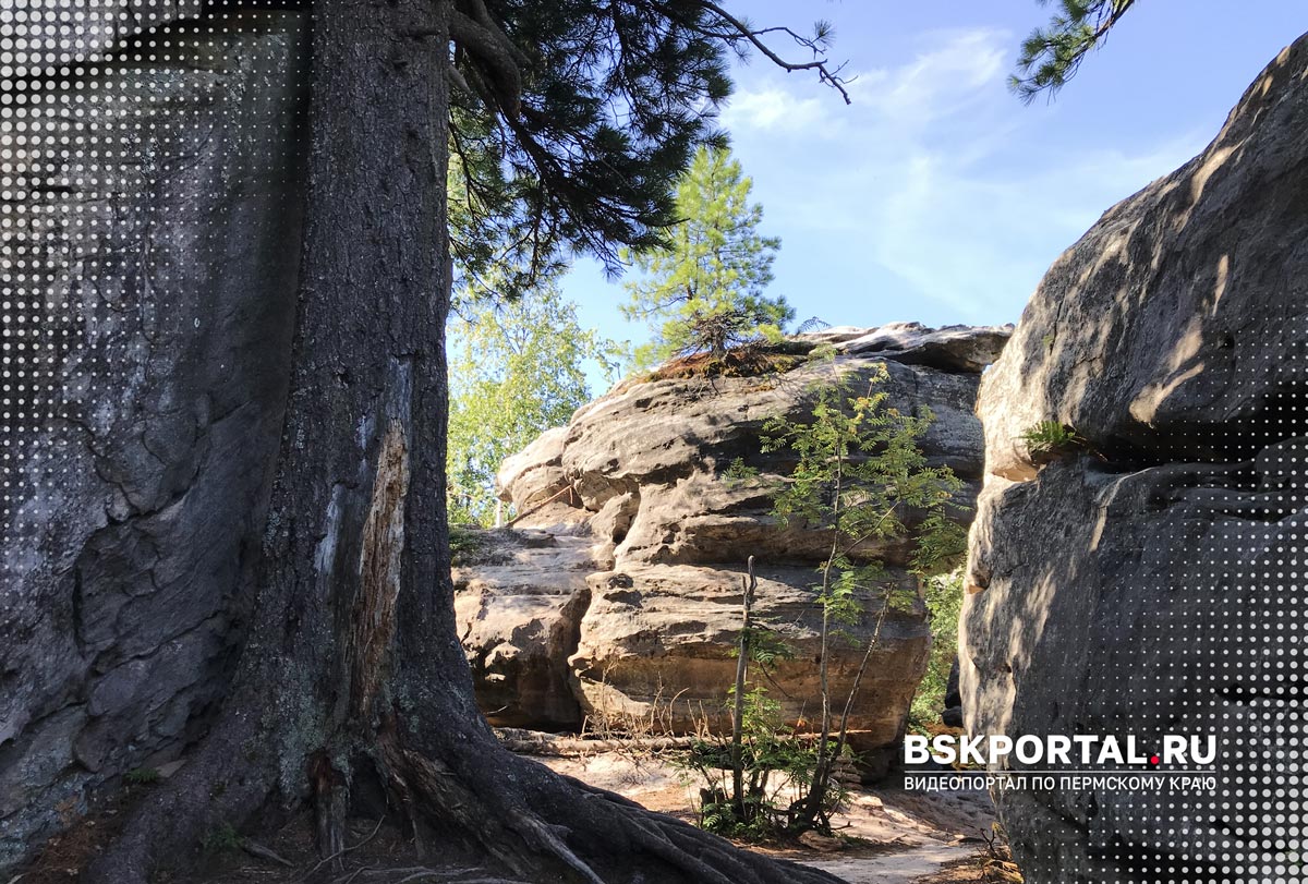 Что посмотреть рядом с Губахой Каменный город