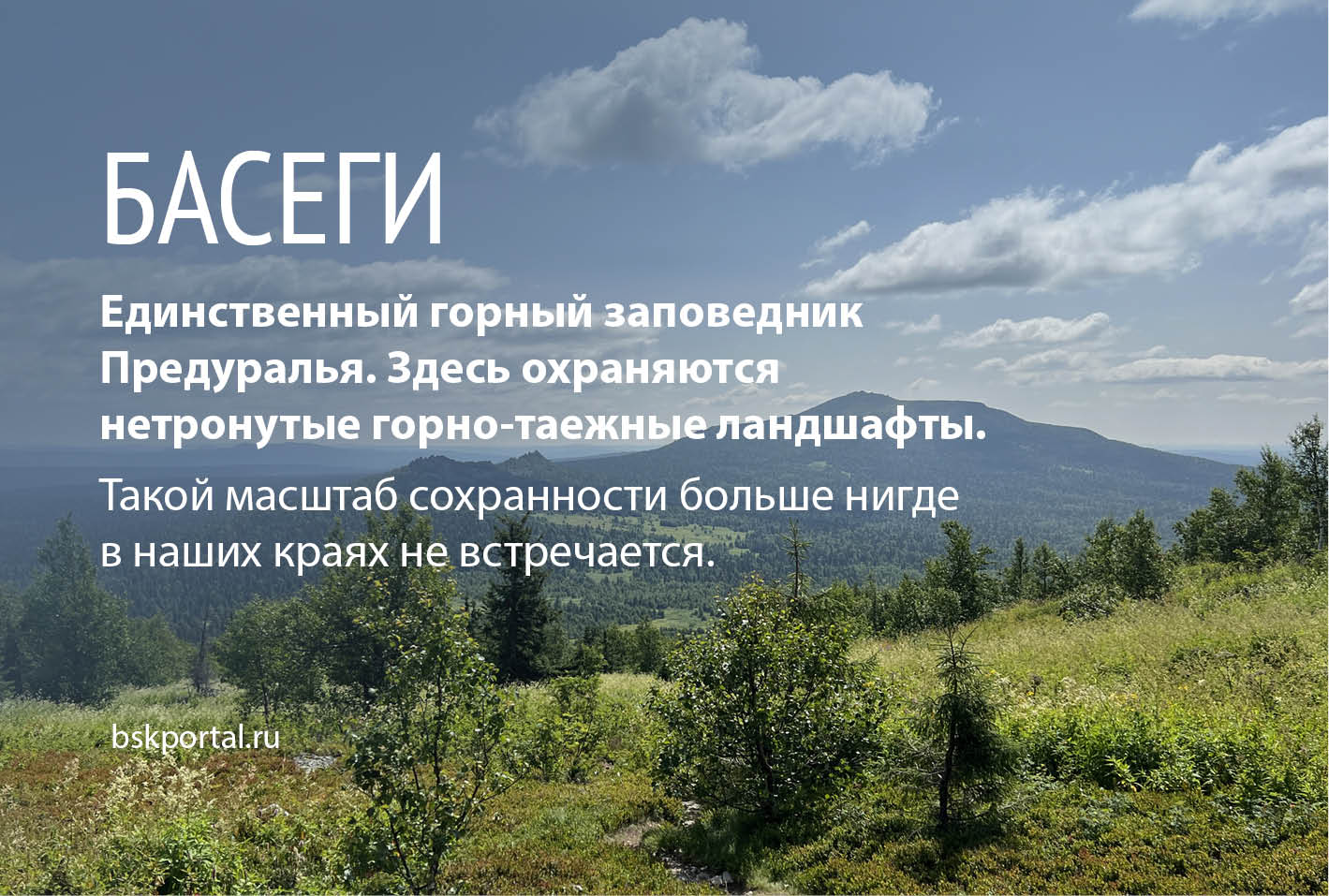 Басеги