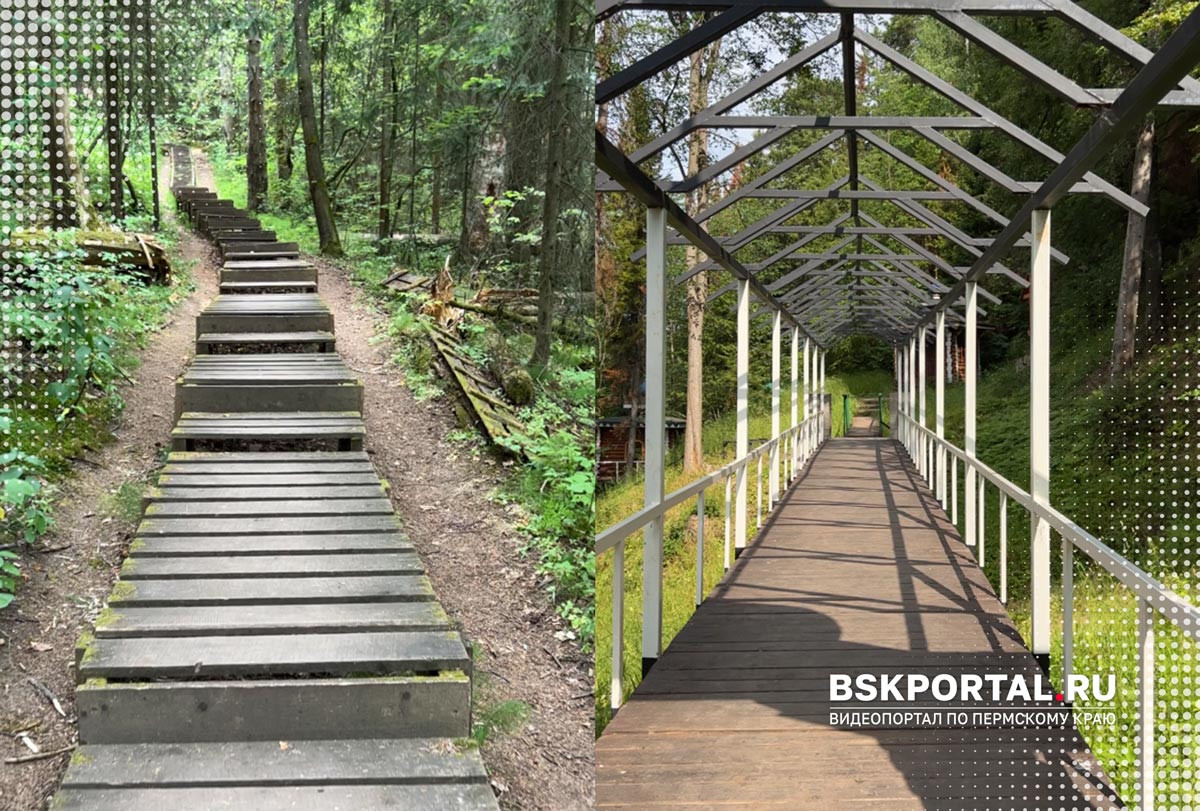 Лестница в лесу и крытая деревянная тропа на Гляденовской горе