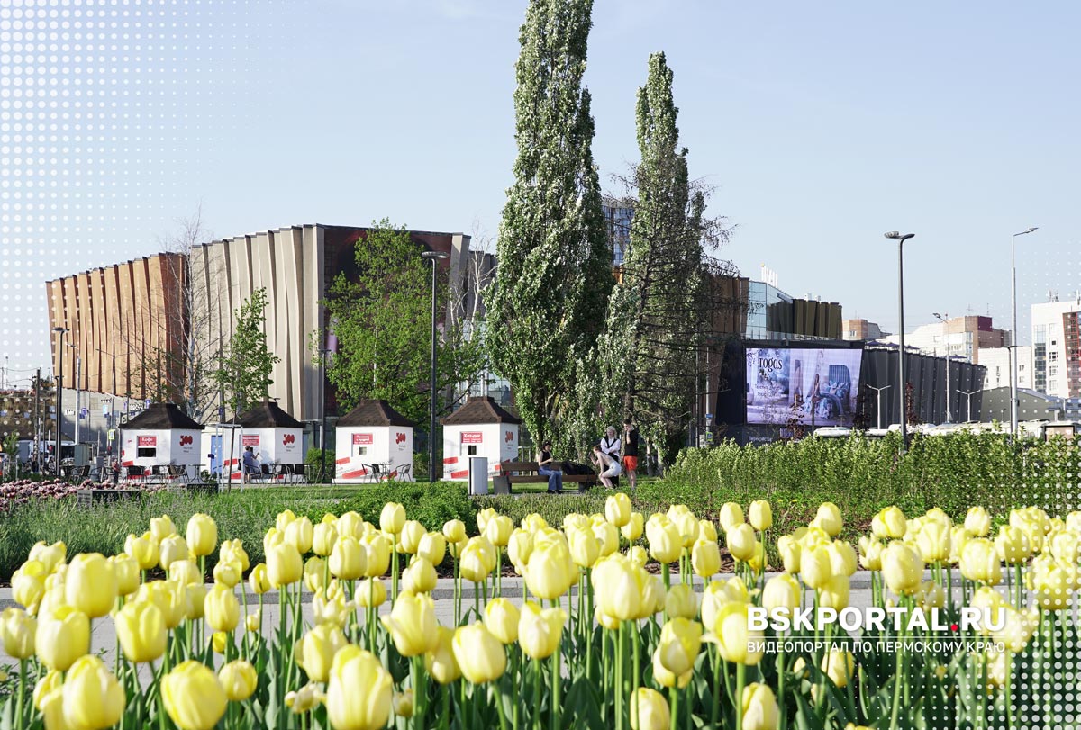 город Пермь что посмотреть