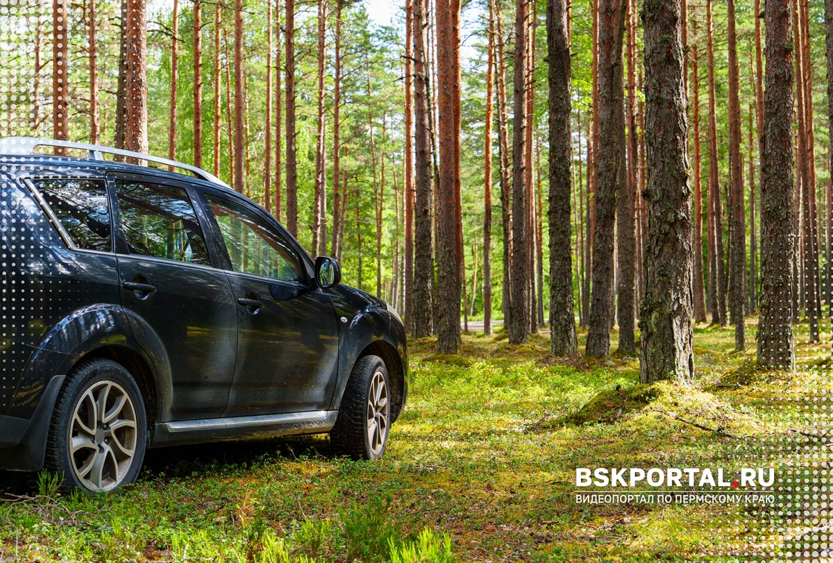 машина дорога в лесу путешествие летом на один день