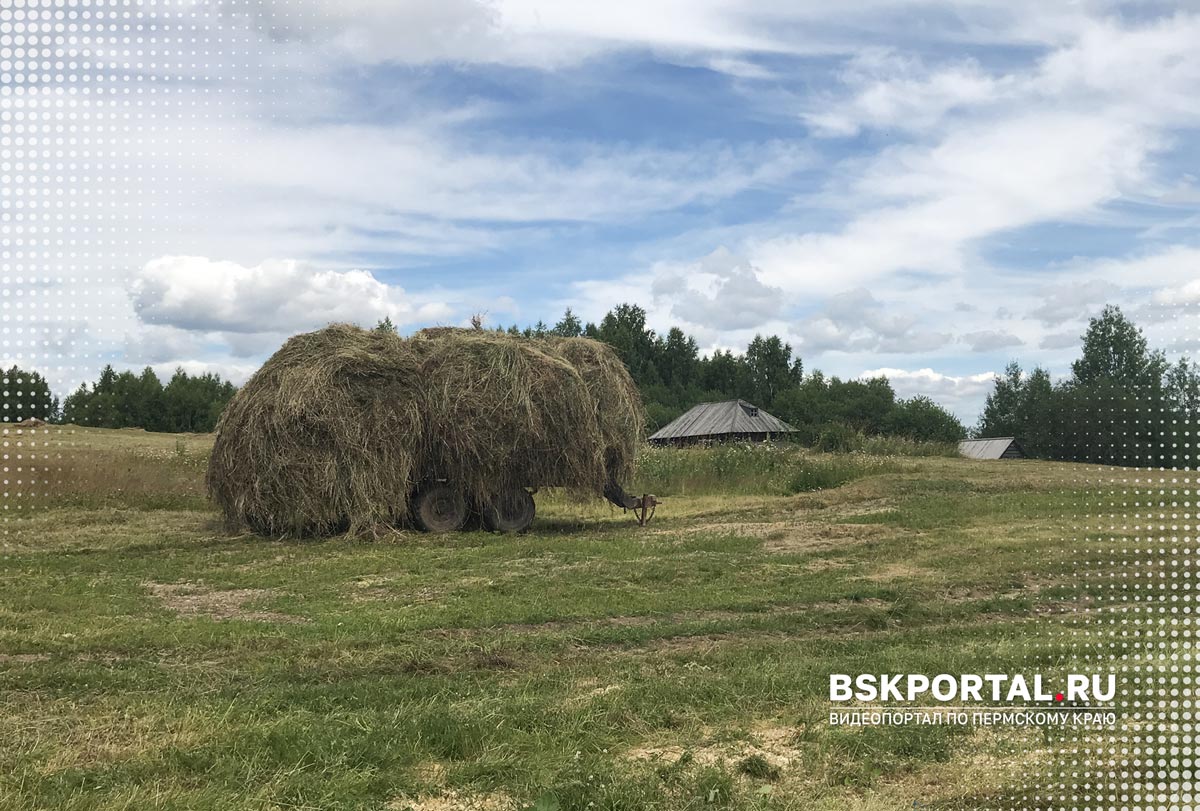 Хохловка летом