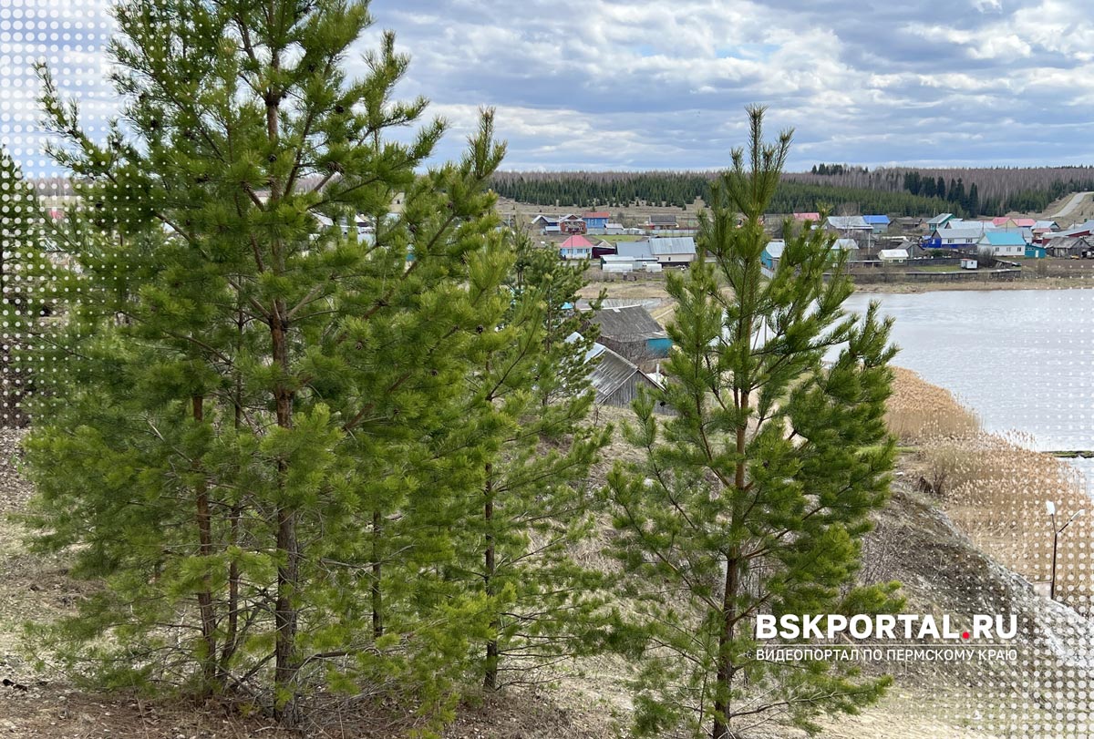 село Уинское пермский край пруд