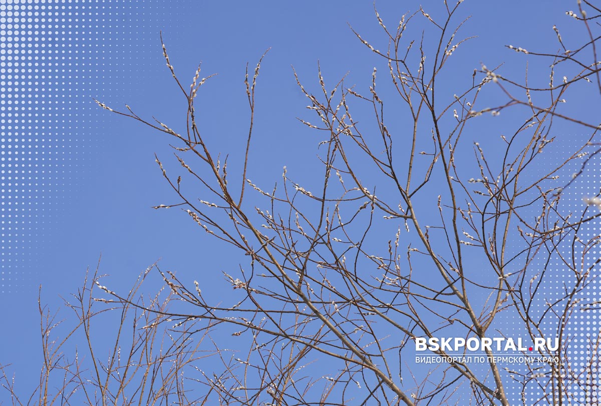 весна природа Пермского края