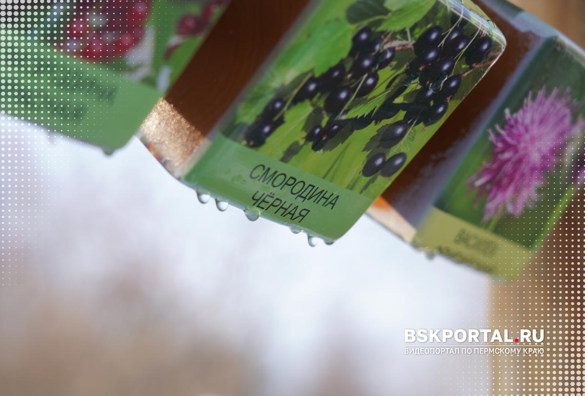 Экологическая тропа Пермь Егошиха