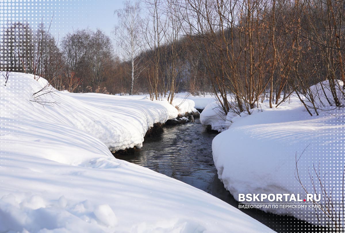экотропа Егошиха город Пермь где погулять в Перми