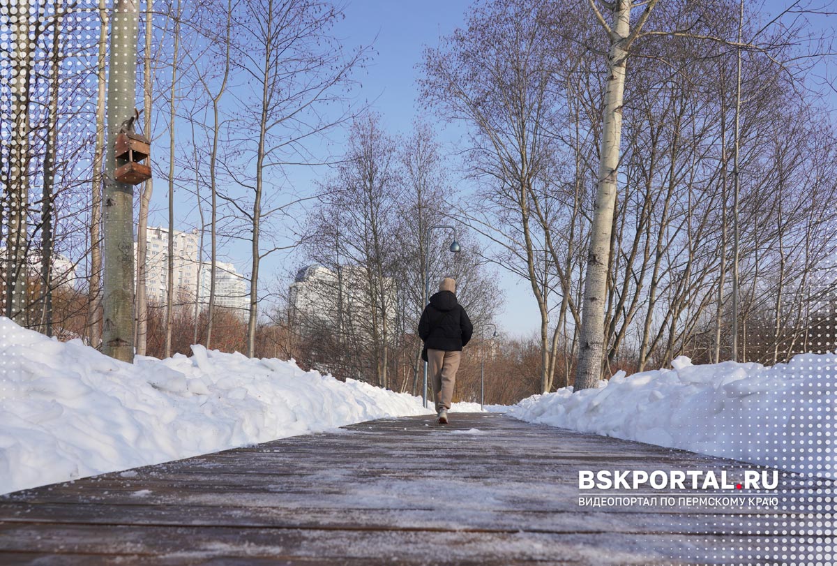 экотропа в центре Перми