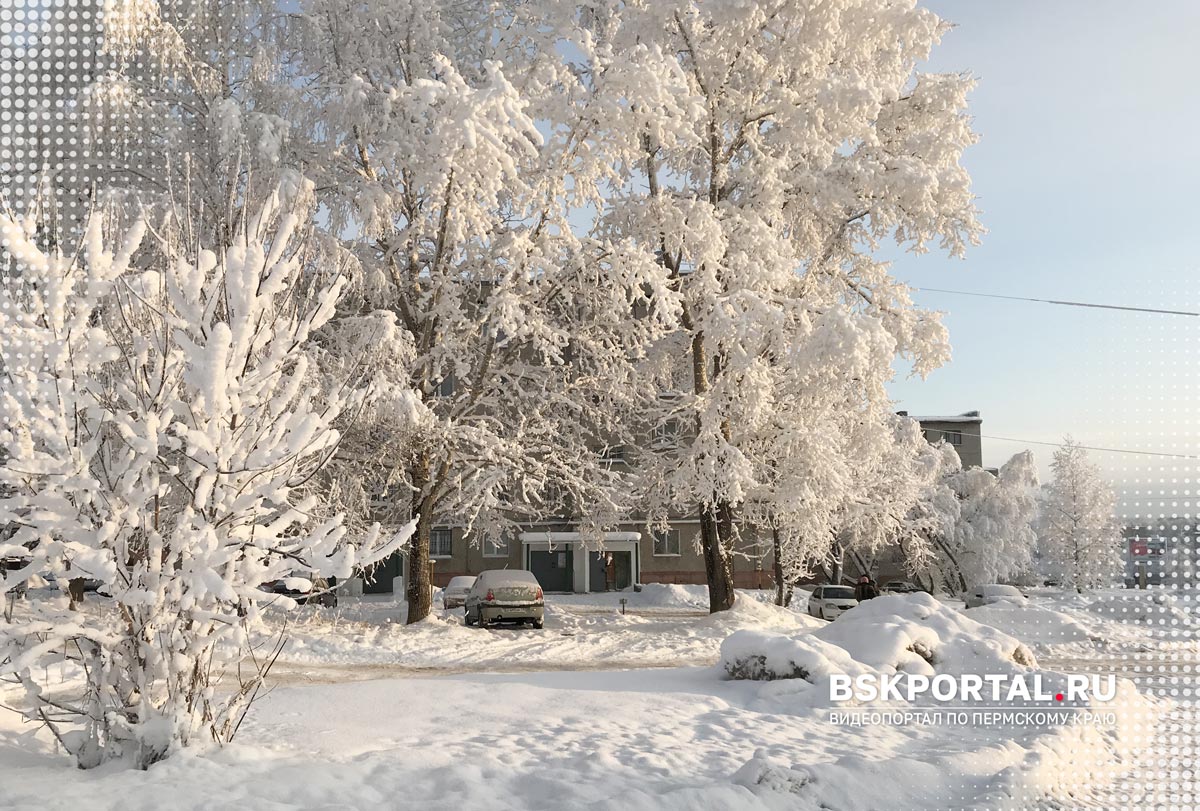 Березники зимой заснеженный двор