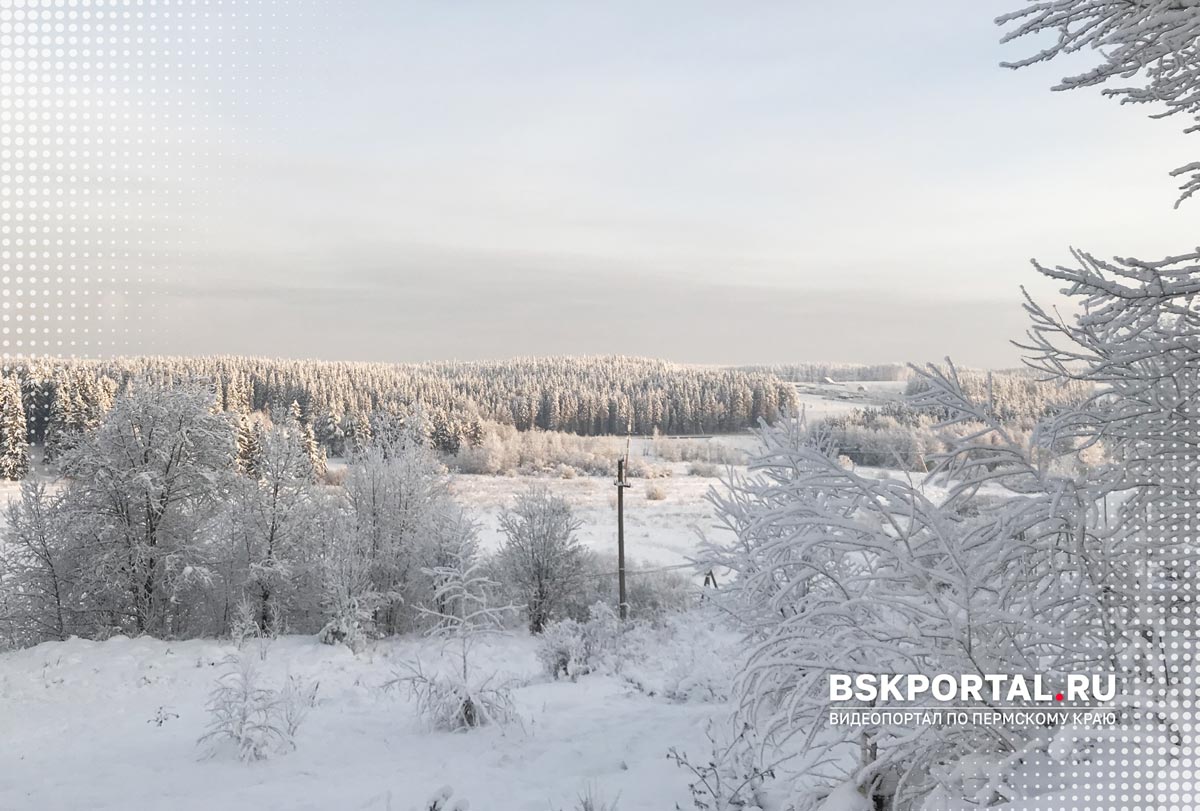 Окраина Березников зимой, вид с возвышенности на лес