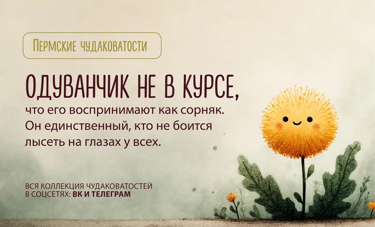 Одуванчик картинка