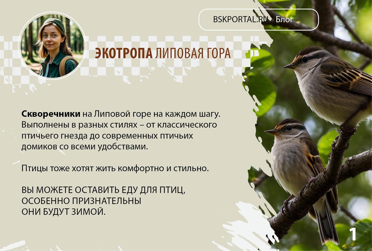 Липовая гора Пермь