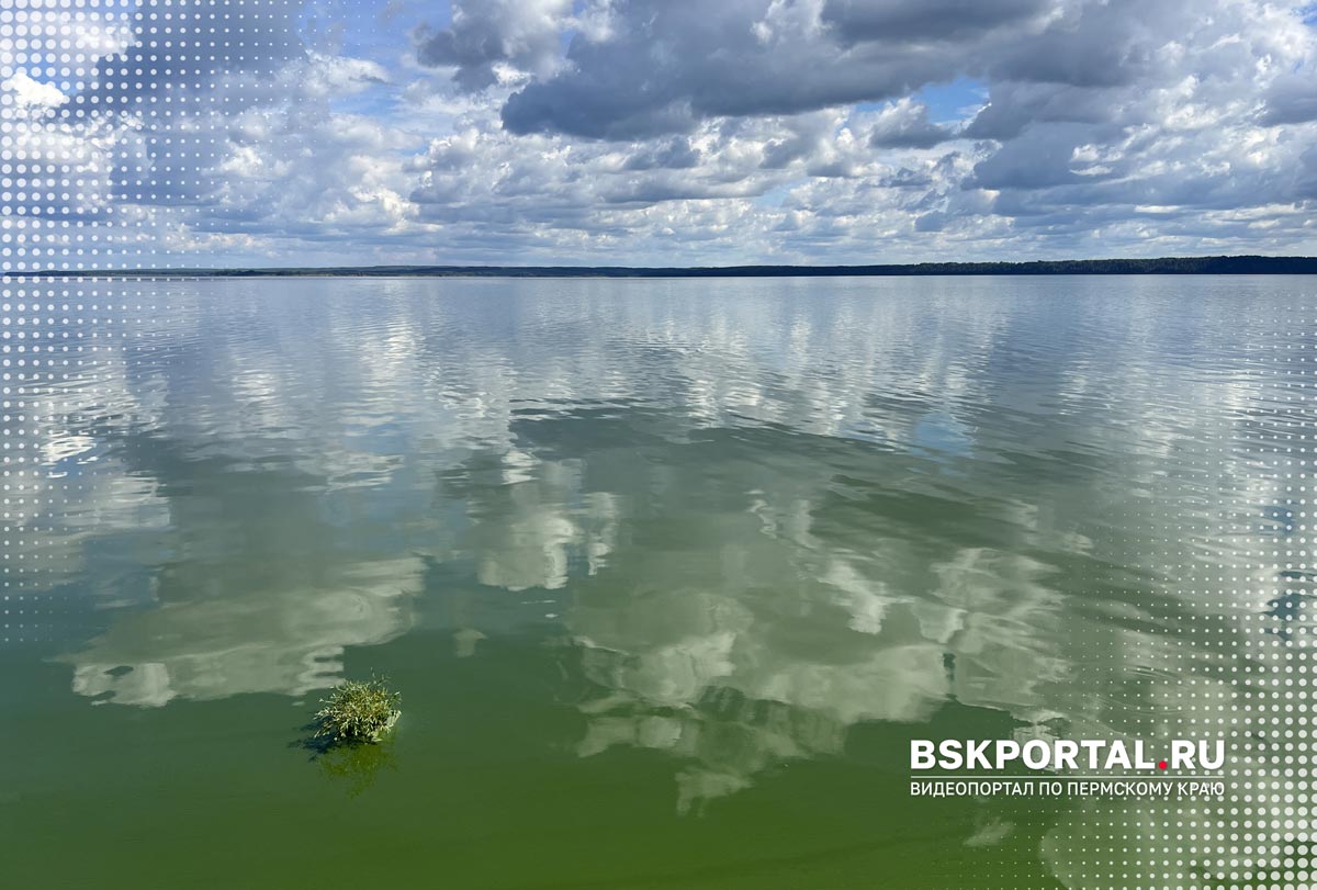 Позеленевшая из-за цветения вода в Каме