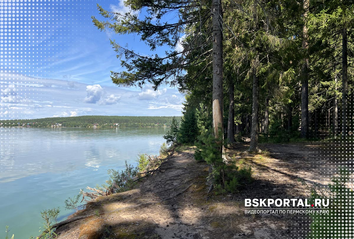 Позеленевшая вода Камы у лесного берега
