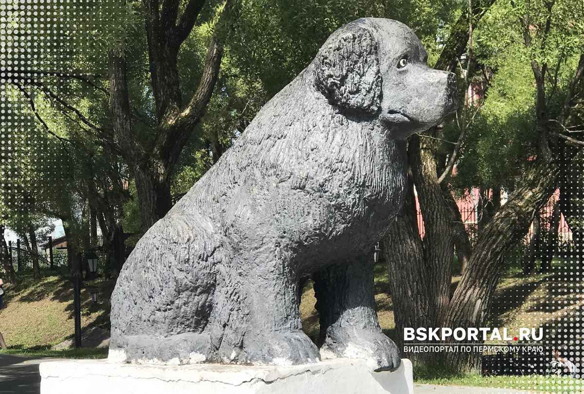 Памятник собаке в Перми