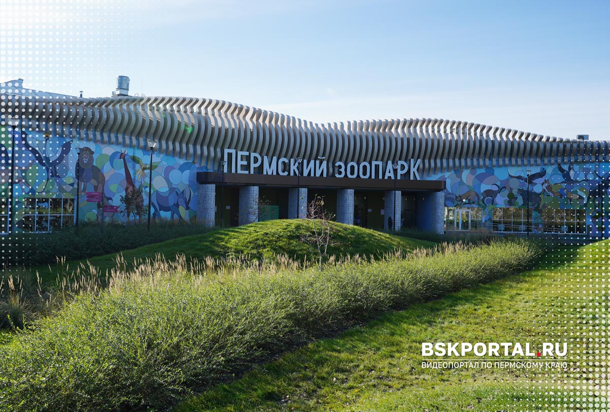 Зоопарк в Перми новый адрес