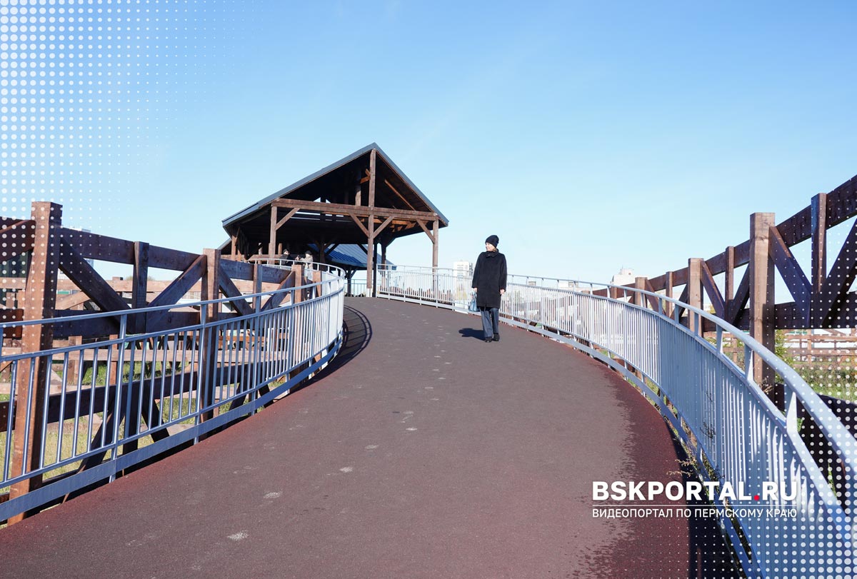 новый зоопарк в перми