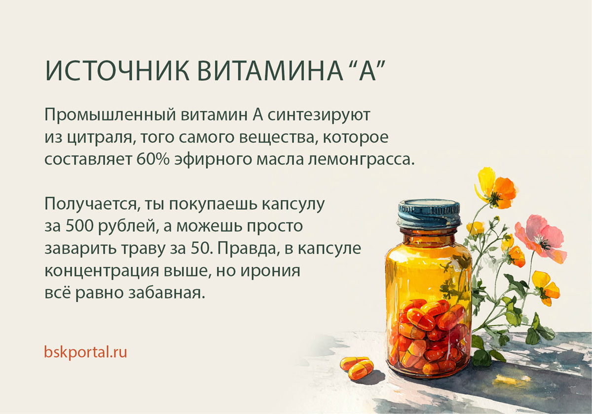 лемонграсс витамин А