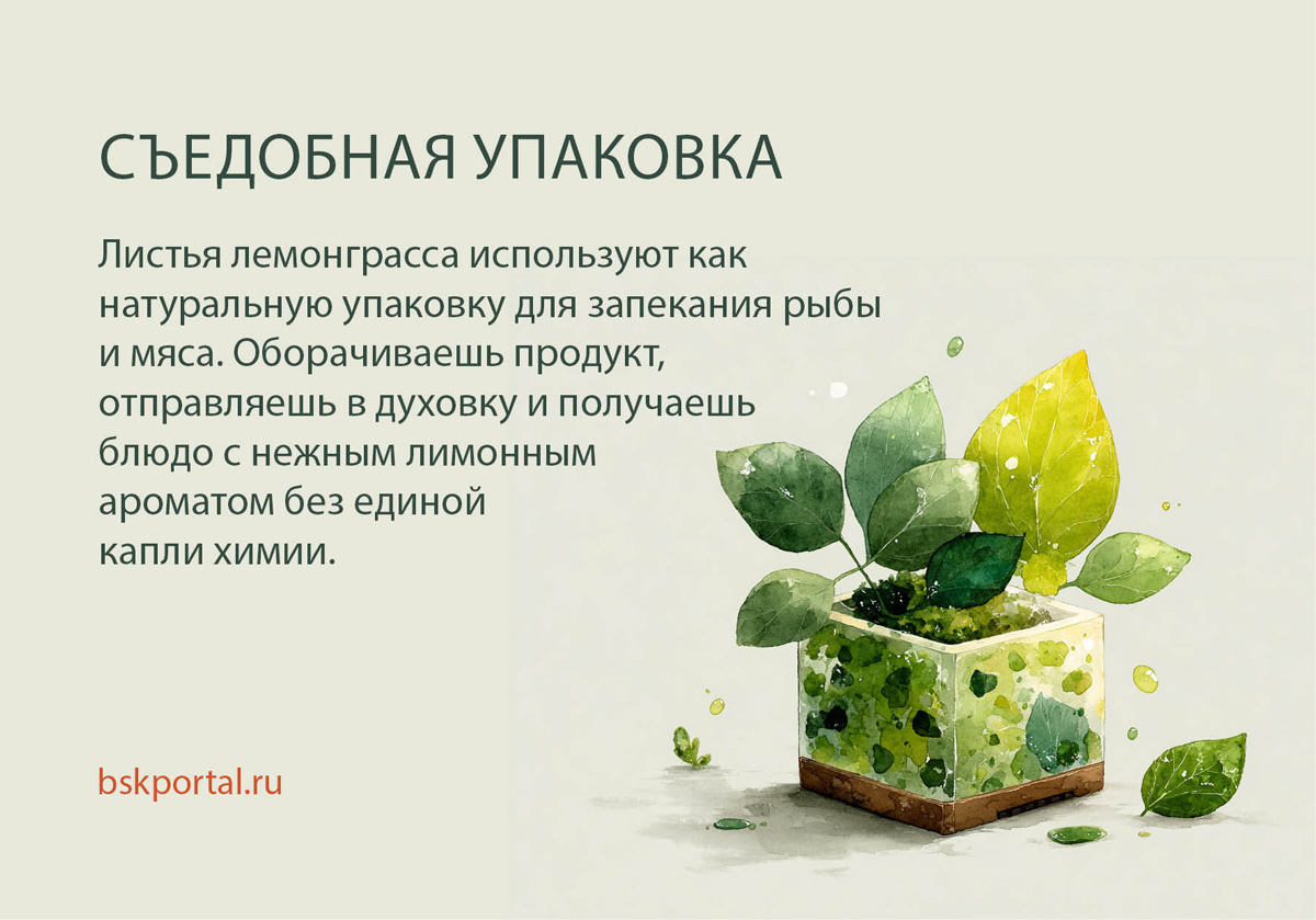 лемонграсс натуральная упаковка