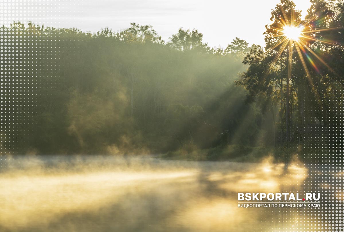 Почему утренний свет запускает пробуждение