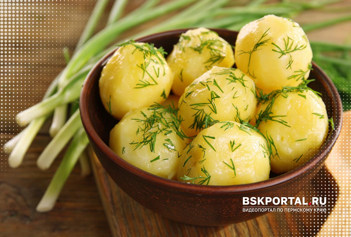 Можно ли есть зеленый картофель