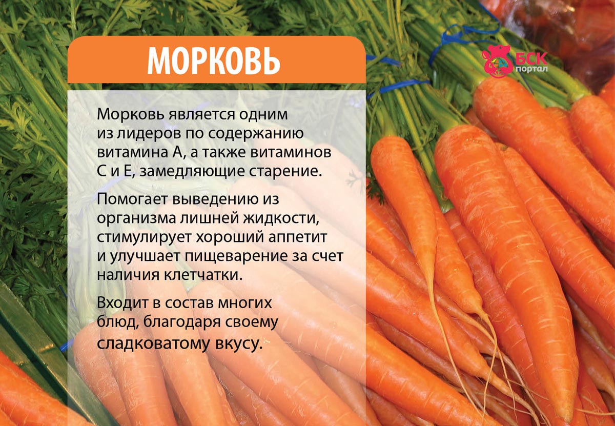 морковь овощи польза