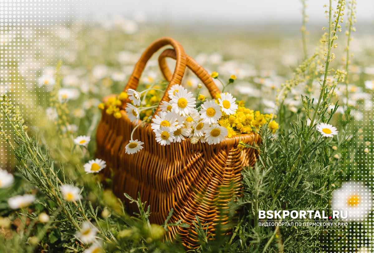 когда лучше знакомиться