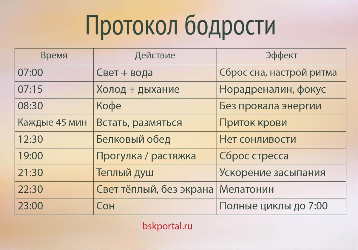 таблица расписание распорядок дня