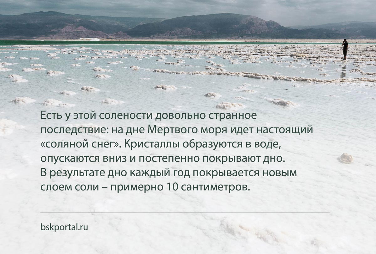 Соляные отложения на мелководье Мёртвого моря на фоне гор