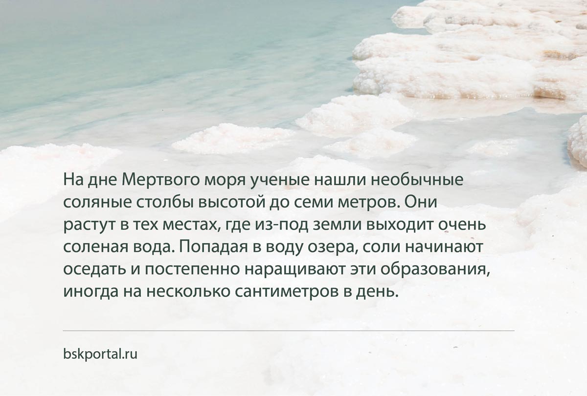 Соляная корка и кристаллические образования на берегу Мёртвого моря