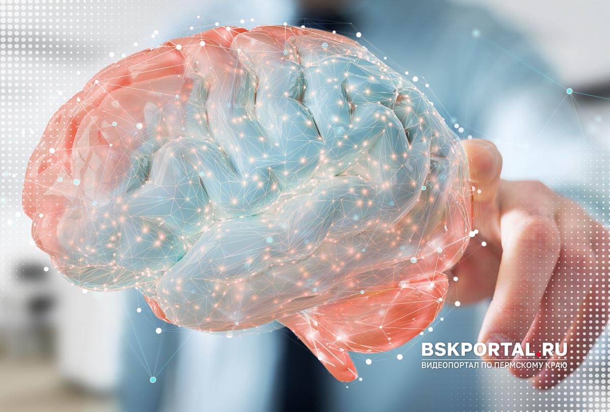 Еда для мозга